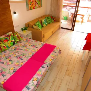 https://danubio-studio.in-canary-islands.com
